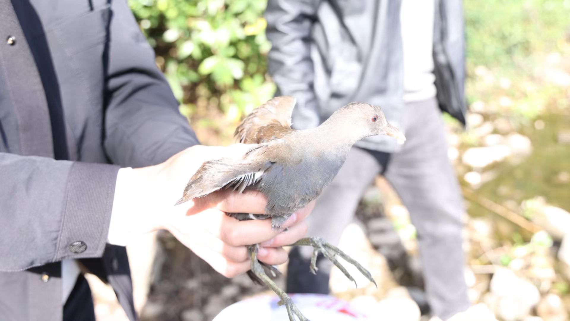 58edf09d4bb88016988cf97ad2397ec4.jpeg 58edf09d4bb88016988cf97ad2397ec4.jpeg