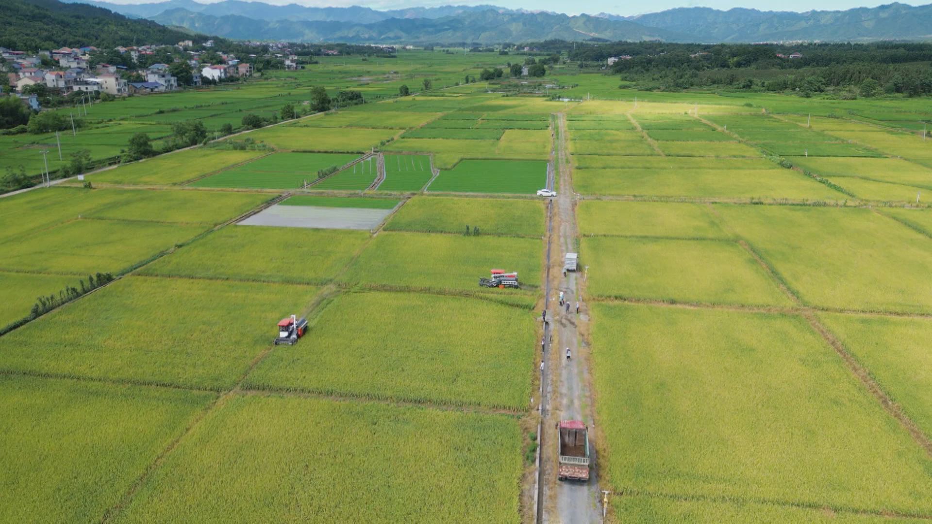 “十四五”粮仓-1.jpg “十四五”粮仓-1.jpg